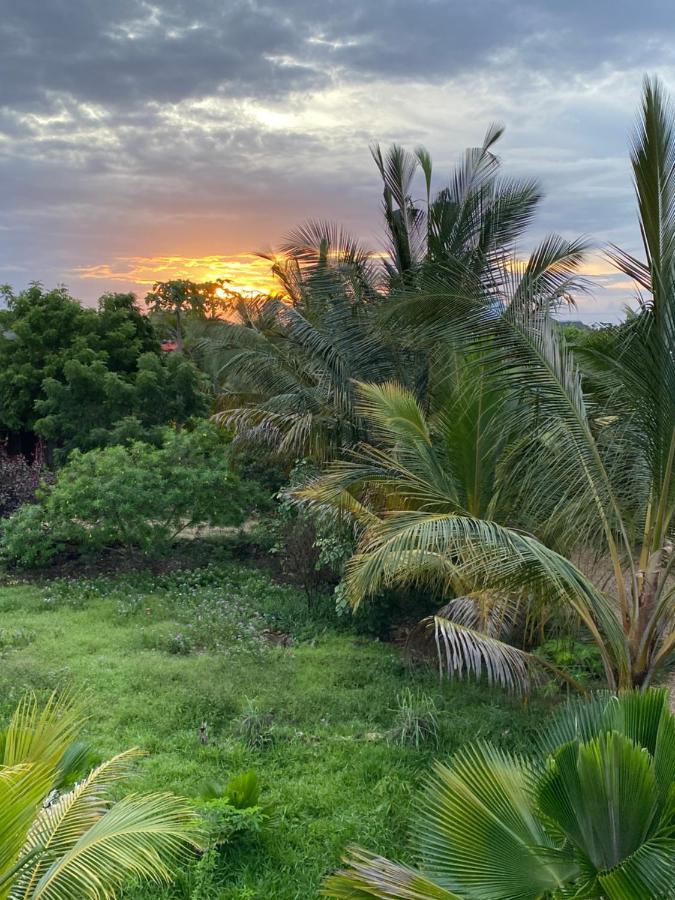 Darwesh Nyumba Lodge Nungwi Exteriér fotografie