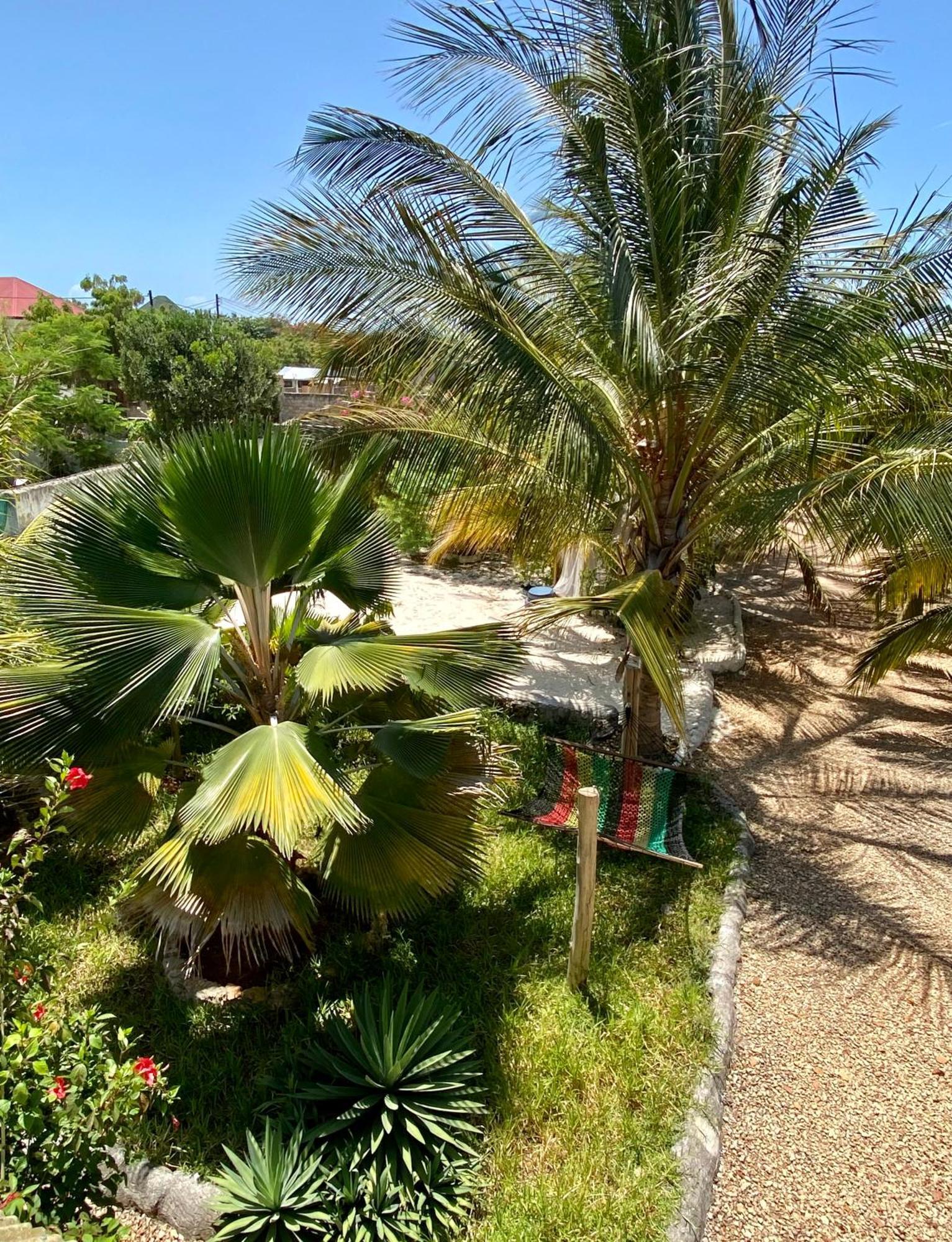 Darwesh Nyumba Lodge Nungwi Exteriér fotografie